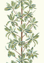 Thibaut Sage S Wallpaper
