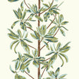 Thibaut Mangrove Tree Sage Wallpaper