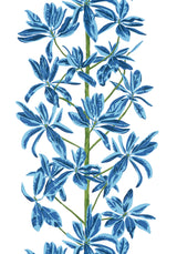 Thibaut Blue and White S Wallpaper