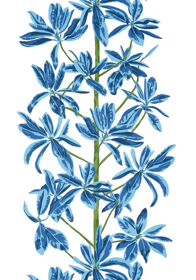 Thibaut Blue and White S Wallpaper
