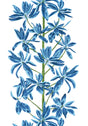 Thibaut Blue and White S Wallpaper