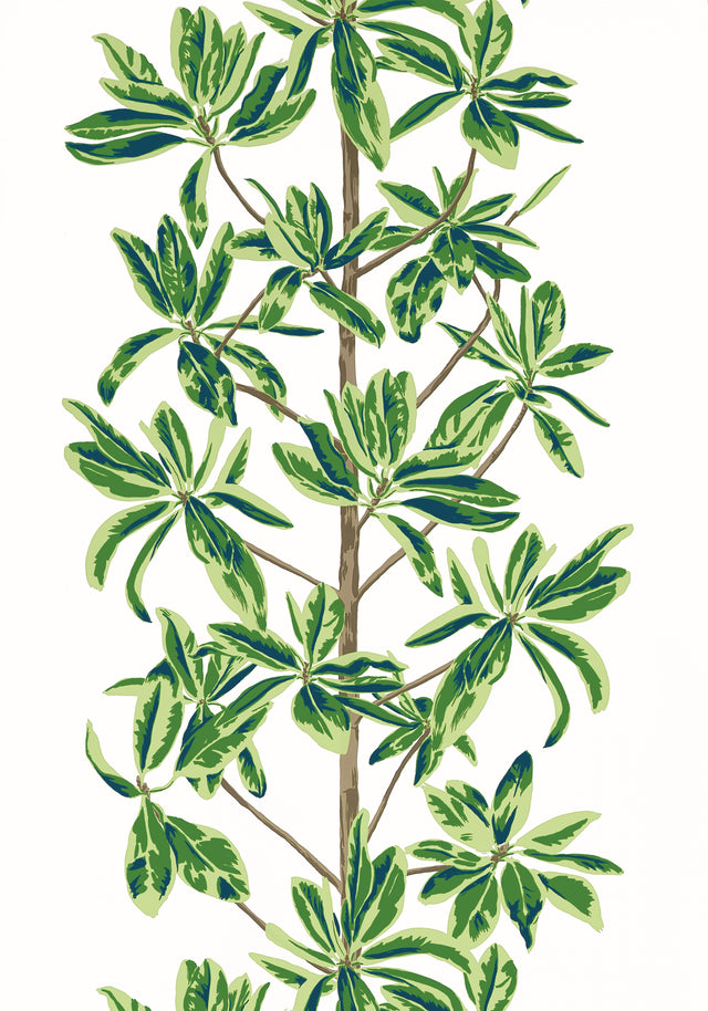 Thibaut Green and White S Wallpaper