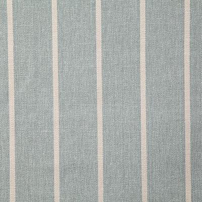 Pindler CONDON HAZE Fabric