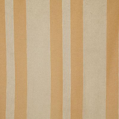 Pindler EMMELINE SOLEIL Fabric