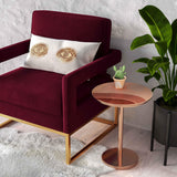 TOV Avery Maroon Velvet Chair With Polished Gold Base