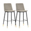 TOV Evora Grey Velvet Counter Stool (Set of 2)