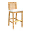 TOV Amara Rattan Performance Fabric Bar Stool