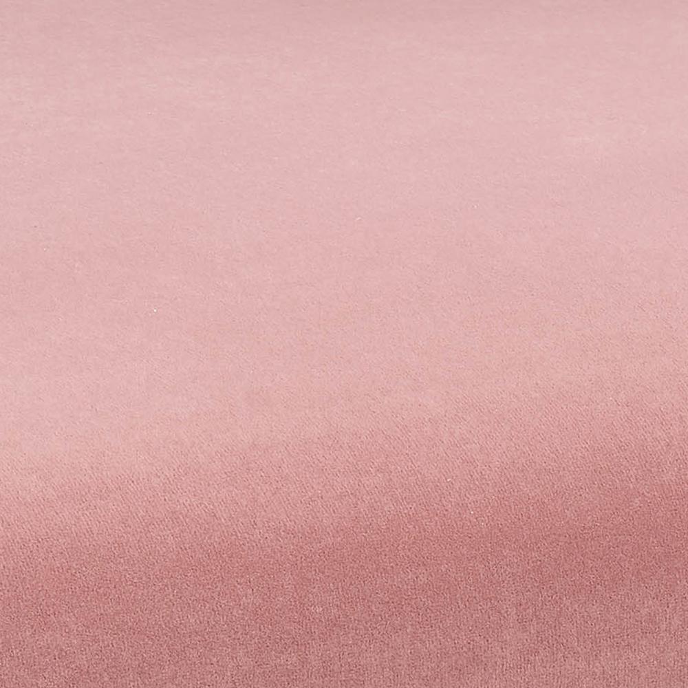 TOV Kim Velvet Chair in Blush