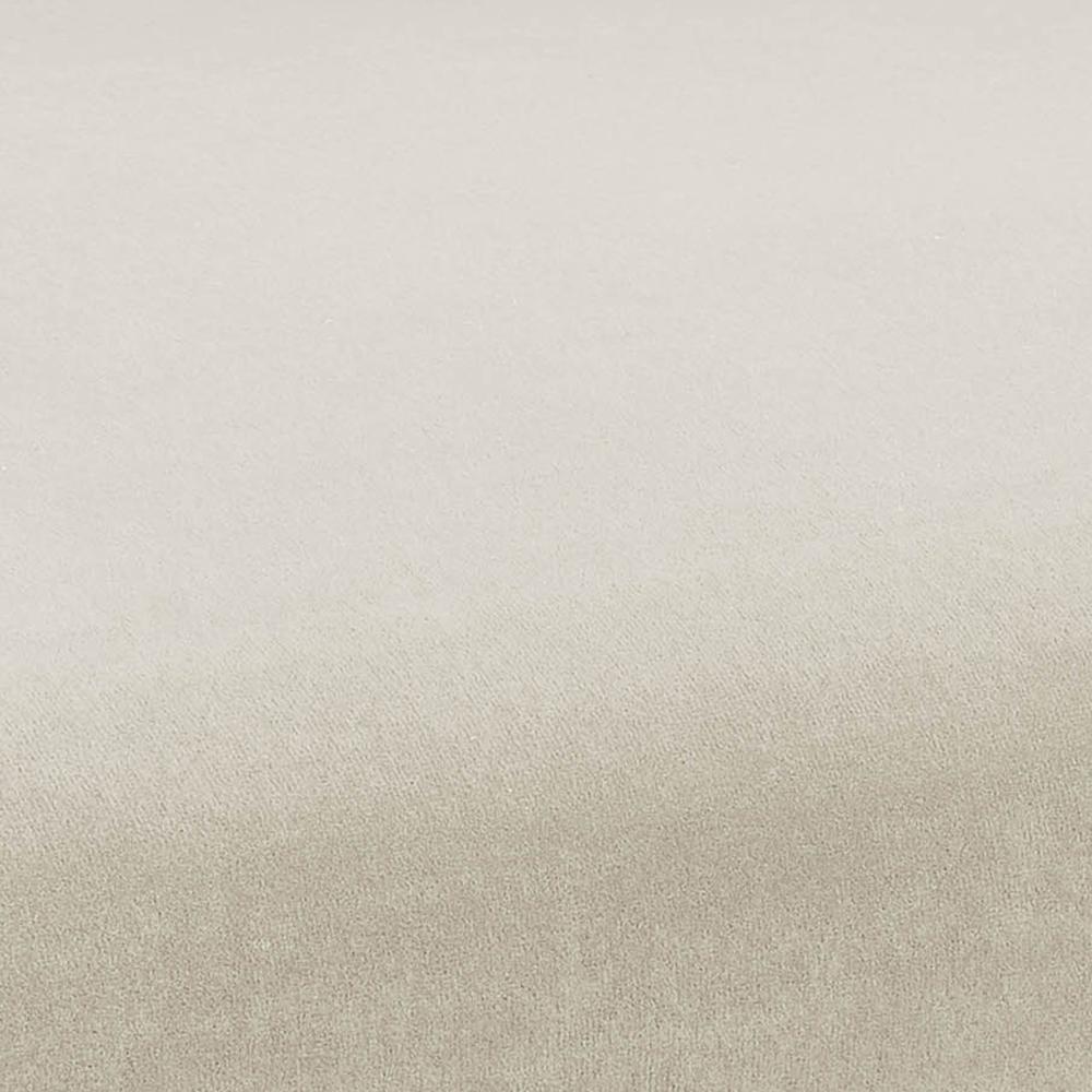 TOV Kim Velvet Chair in Cream