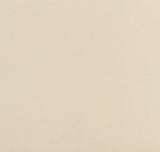 TOV Leo Cream Performance Vegan Leather Dining Chair