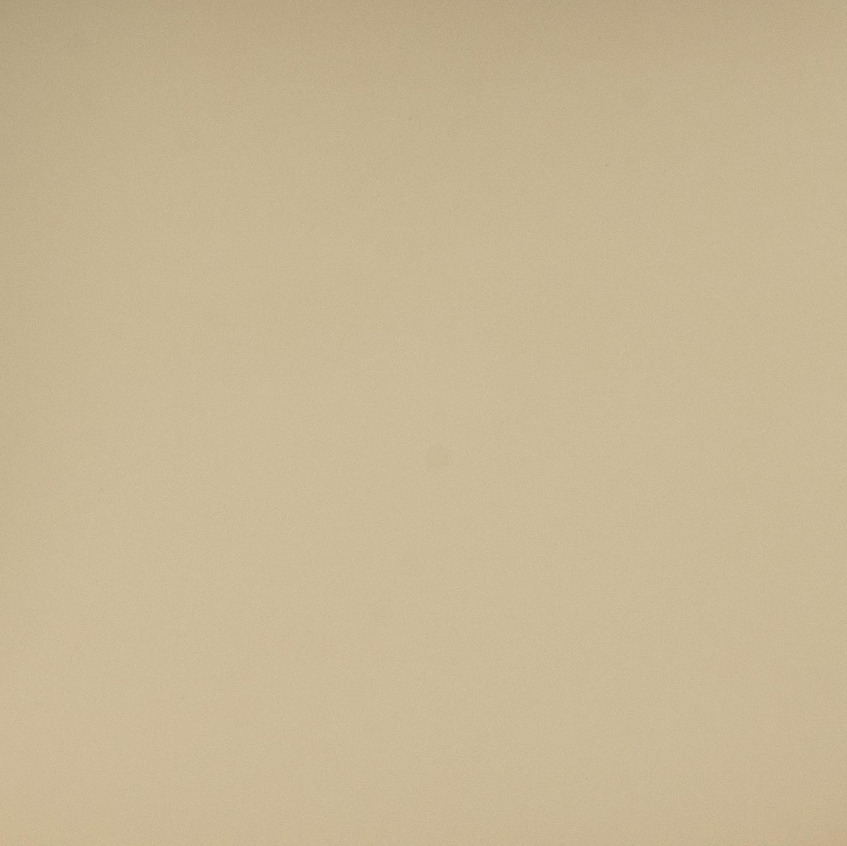 TOV Betsy Taupe Vegan Leather Dining Chair