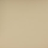 TOV Betsy Taupe Vegan Leather Dining Chair