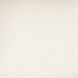 TOV Betsy Cream Performance Boucle Dining Chair