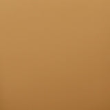 TOV Leo Tan Performance Vegan Leather Dining Chair