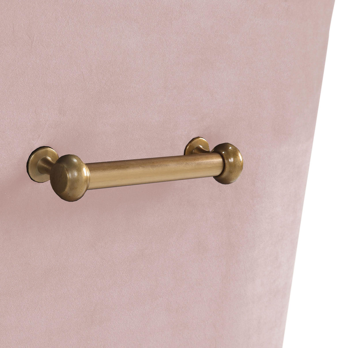 TOV Beatrix Blush Velvet Side Chair