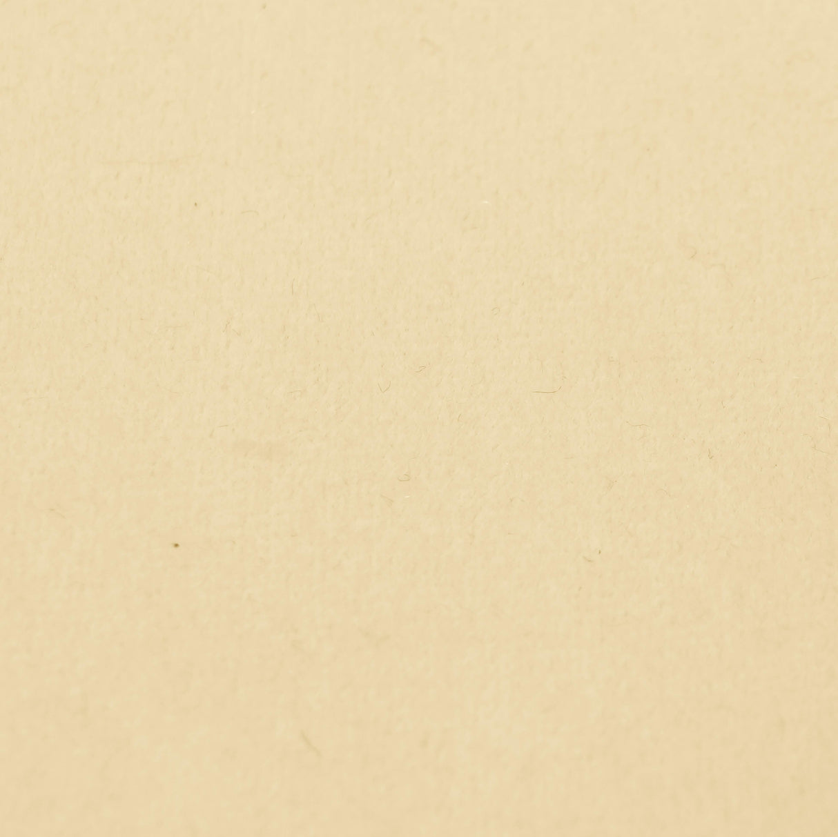 TOV Melody Cream Tasseled Ottoman