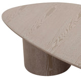 TOV Rhema Washed Ash Oblong Coffee Table