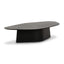 TOV Roche Black Ash Low Coffee Table