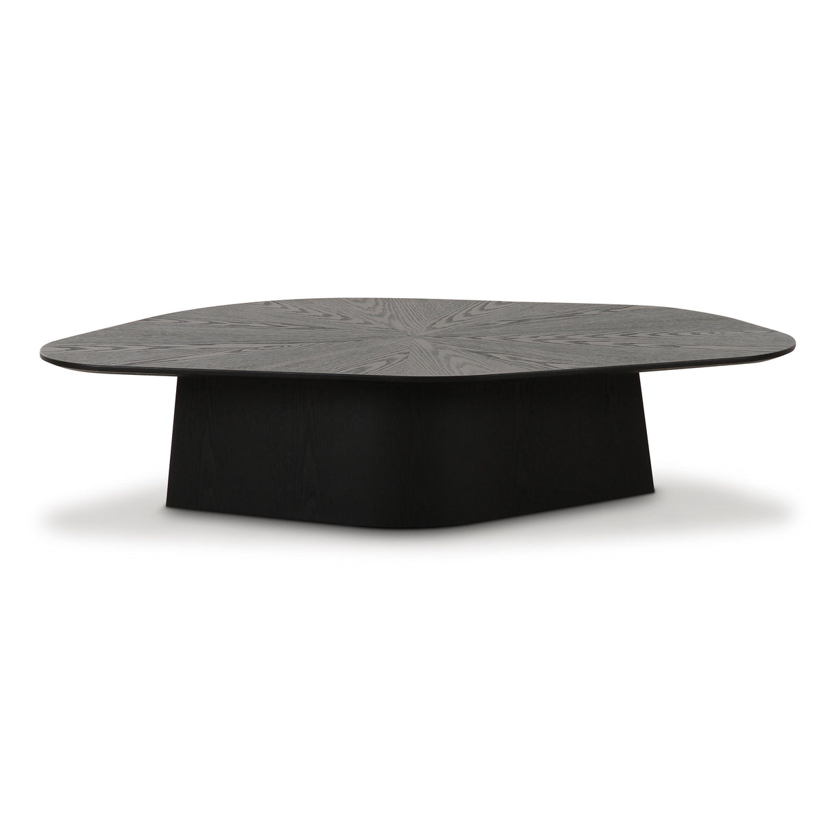 TOV Roche Black Ash Low Coffee Table