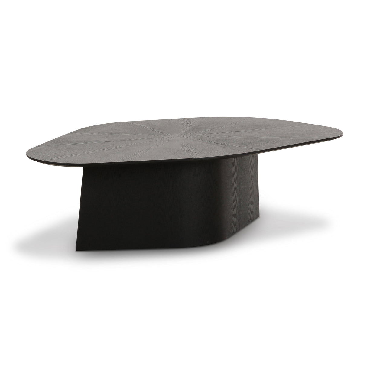 TOV Roche Black Ash Geometric Coffee Table