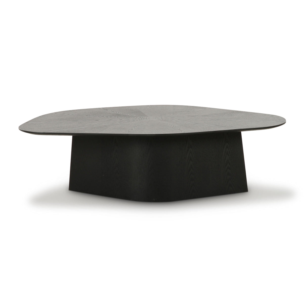 TOV Roche Black Ash Geometric Coffee Table
