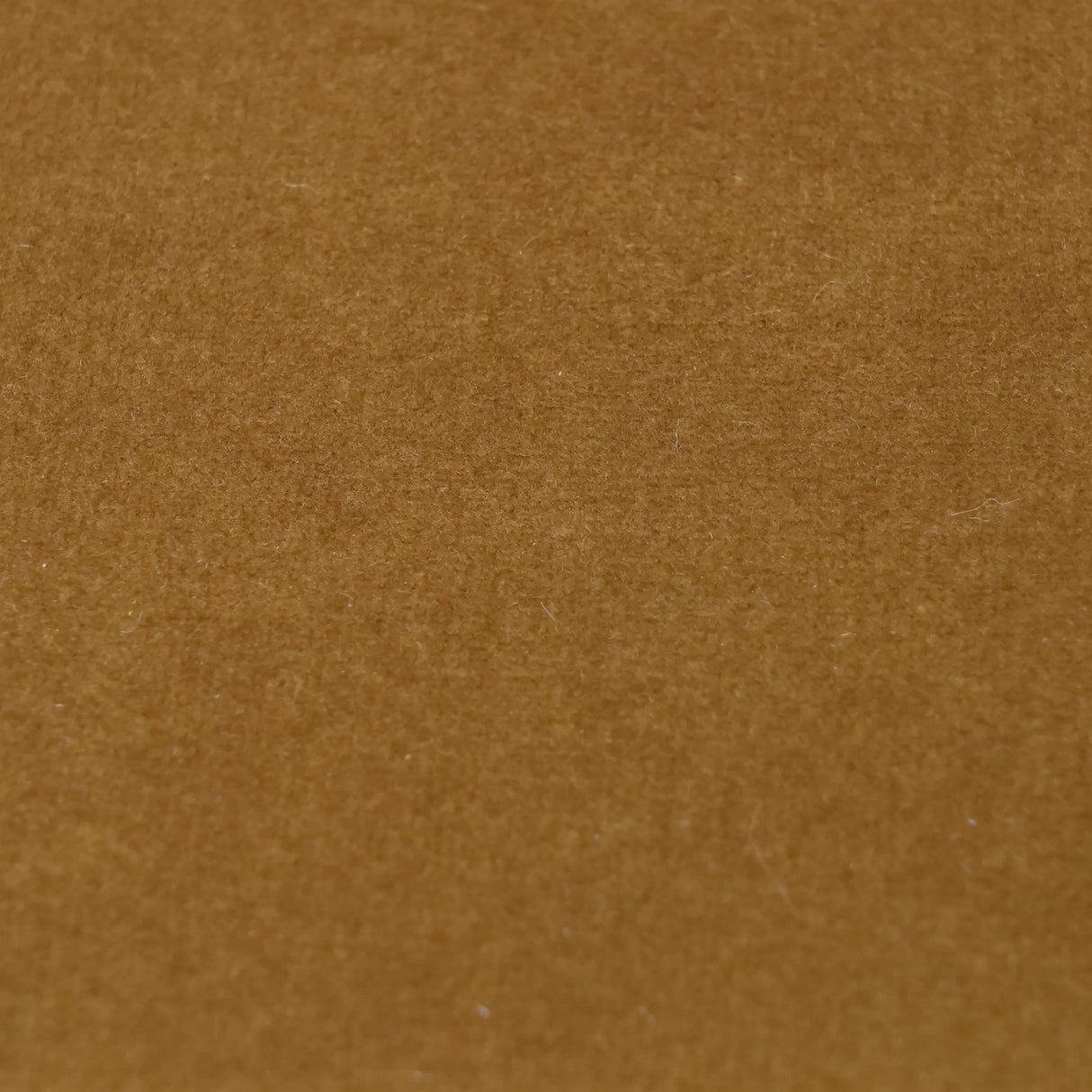 TOV Marla Cognac Velvet Accent Chair