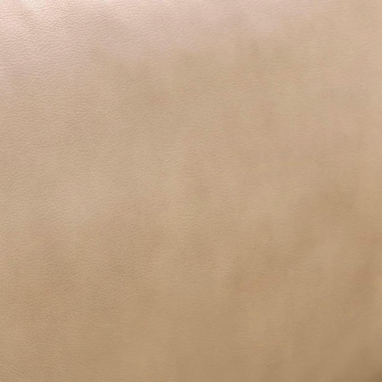 TOV Chakka Tan Genuine Leather Accent Chair