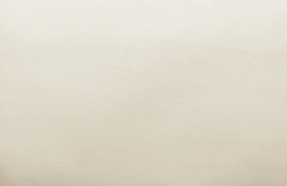 TOV Avery Cream Velvet Chair