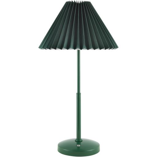 Surya Montijo MTJ-006 19"H x 10"W x 10"D Lamp