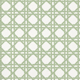Thibaut CANARY TRELLIS Willow Wallpaper