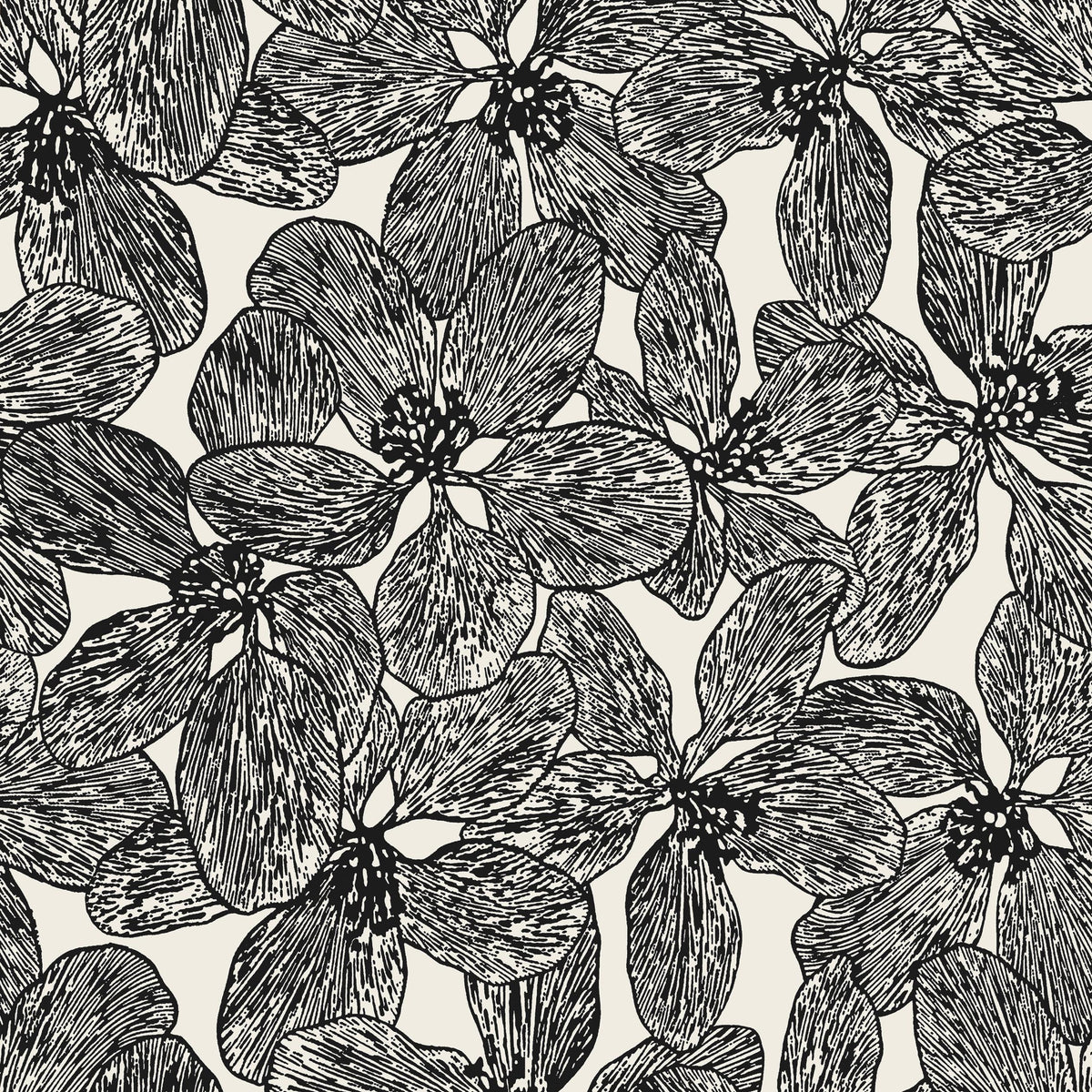 Thibaut Island Orchid Black And White Wallpaper