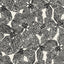 Thibaut Island Orchid Black And White Wallpaper