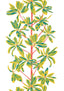 Thibaut MANGROVE TREE Coral Wallpaper