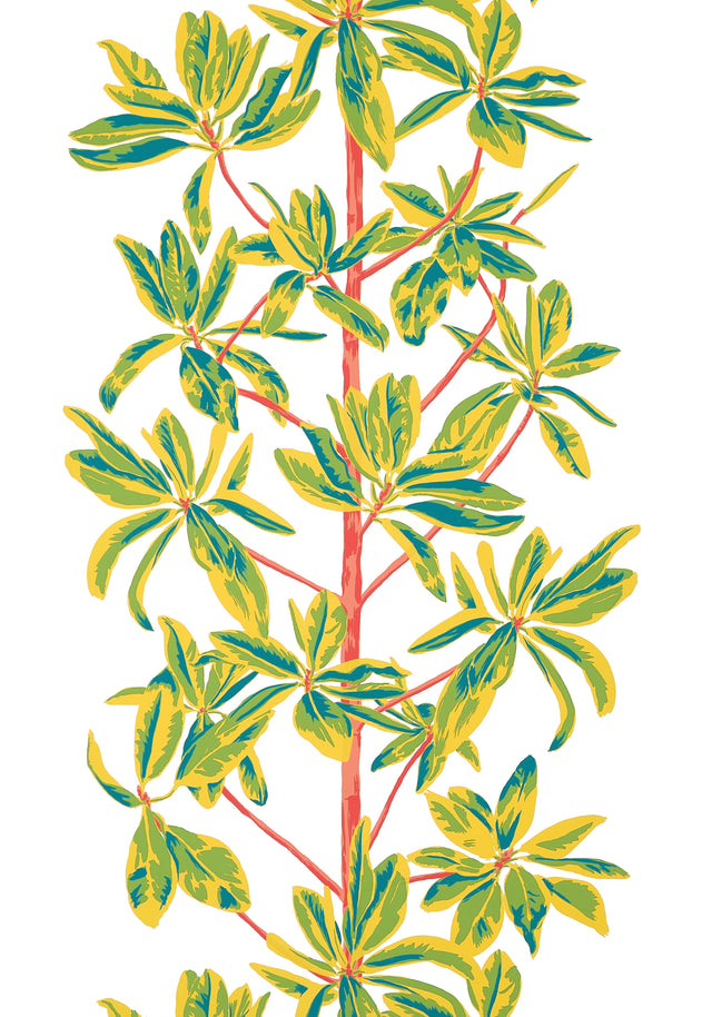 Thibaut MANGROVE TREE Coral Wallpaper