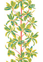 Thibaut MANGROVE TREE Coral Wallpaper
