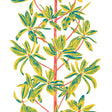 Thibaut Mangrove Tree Coral Wallpaper