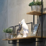 LH Home D-Bodhi Metal Frame Wall Box - Natural, Type D (1/box)