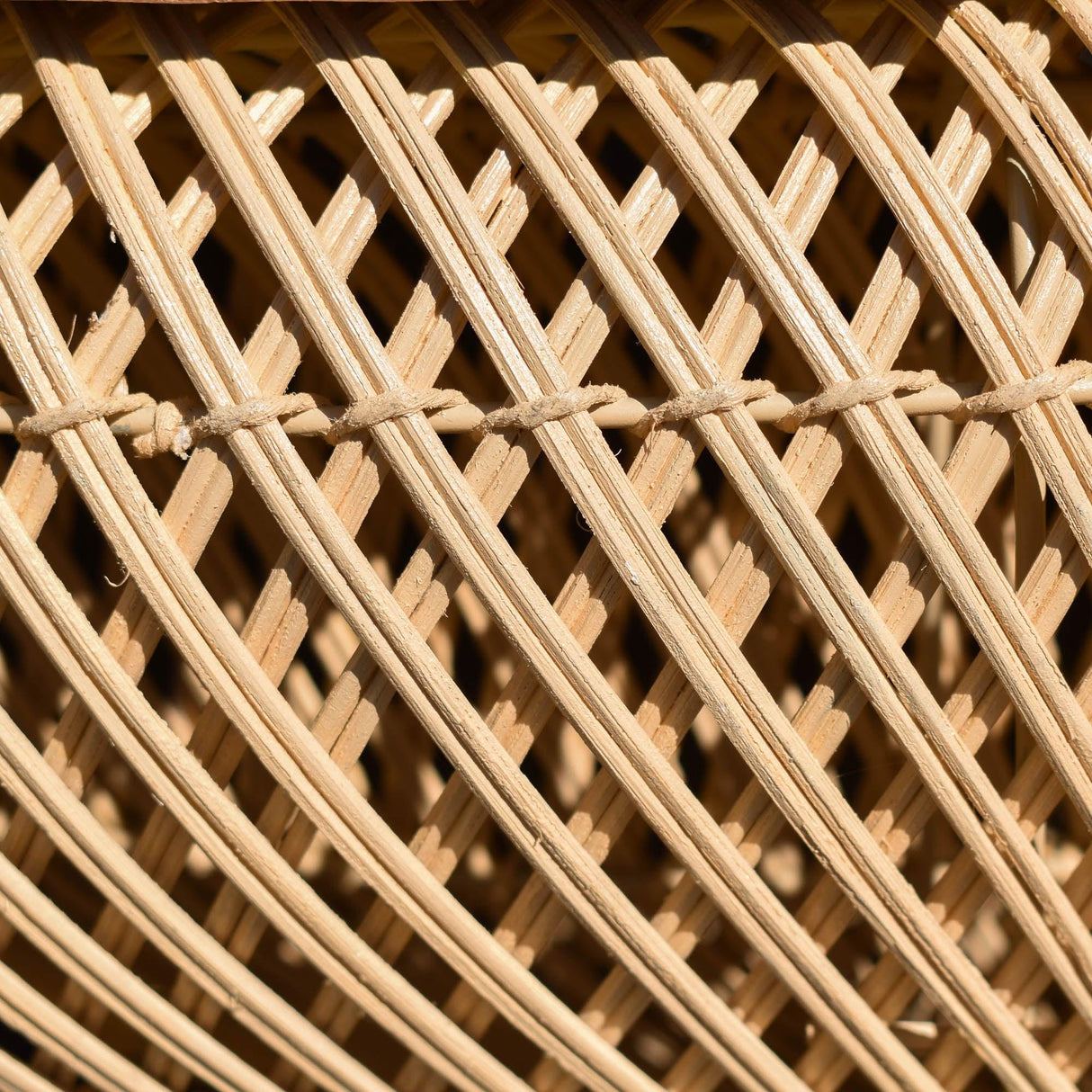 LH Home D-Bodhi Wave Coffee Table - Large/ Natural