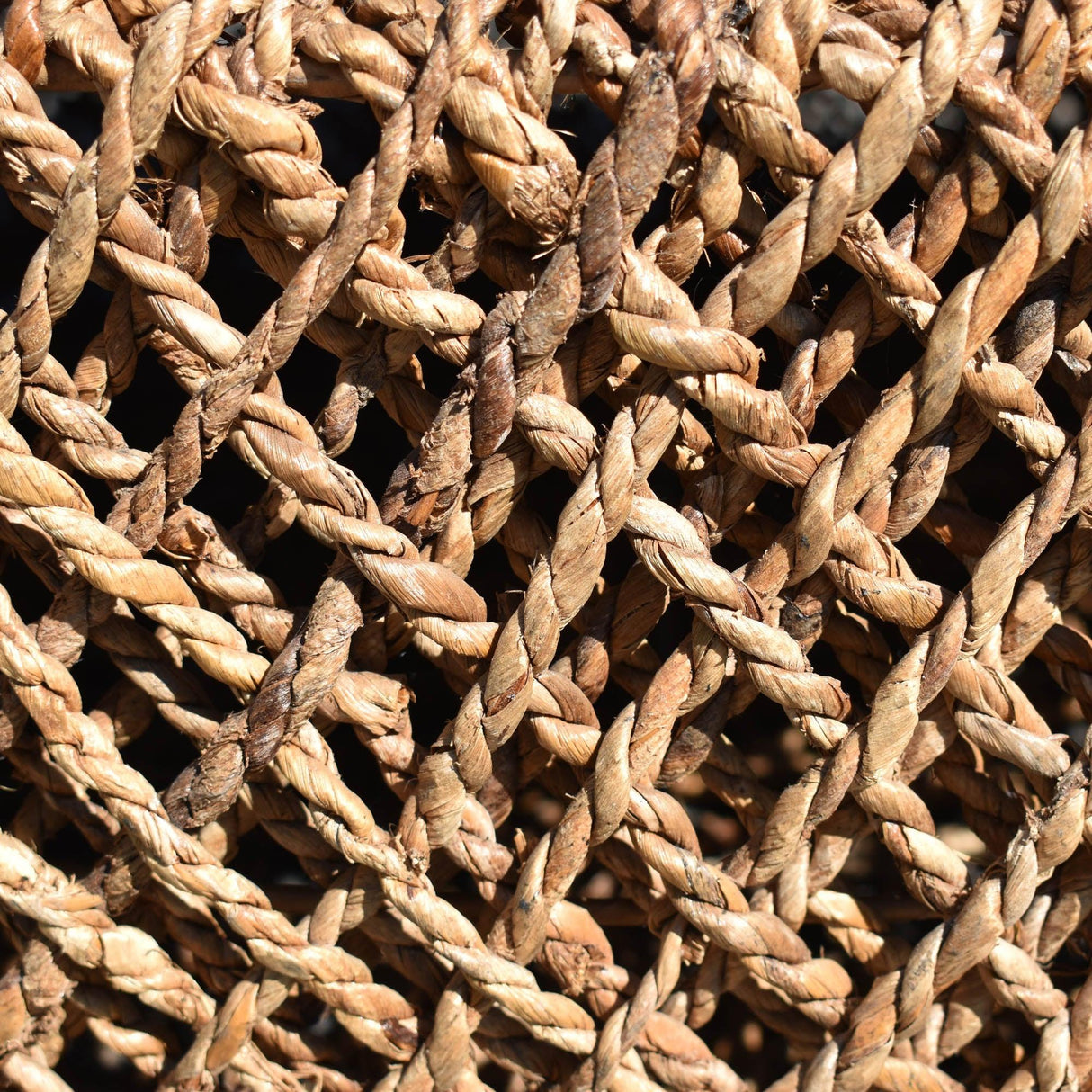 LH Home D-Bodhi Knut Coffee Table