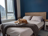LH Home Gia King Bed - Light Driftwood