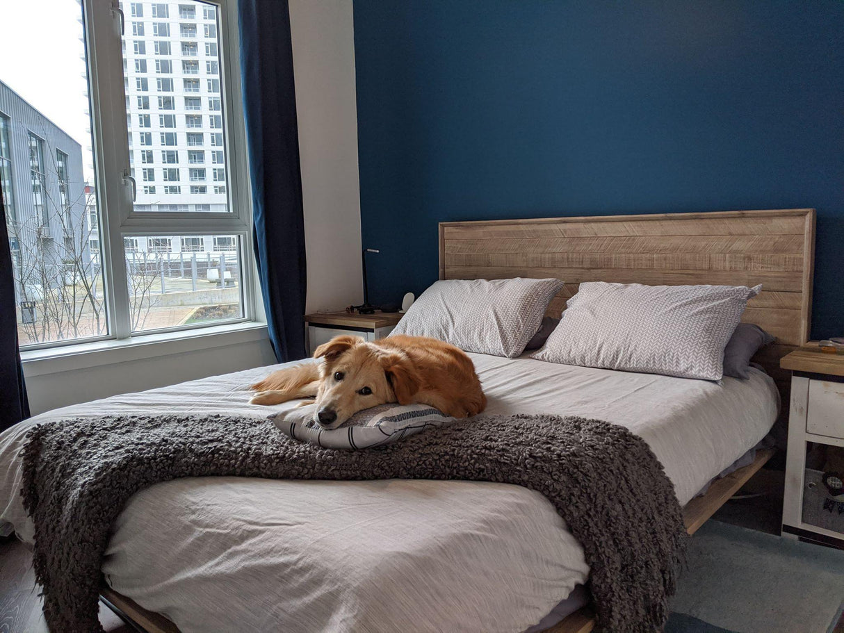 LH Home Gia Queen Bed - Light Driftwood