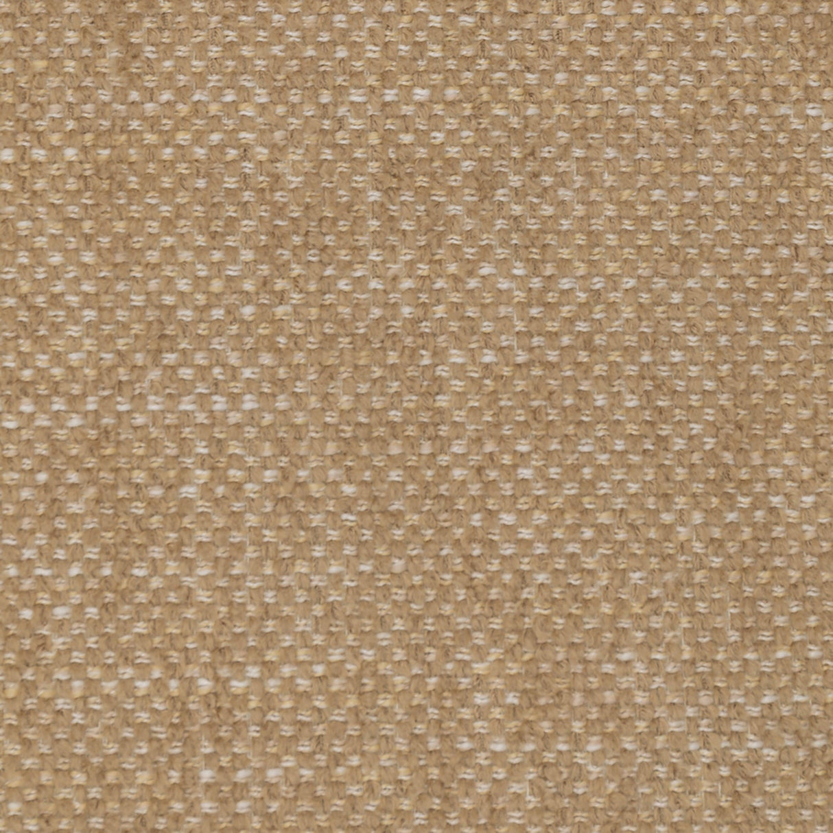 LH Home Louis Club Chair - Textured Honey