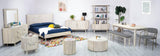 LH Home Oasis Bookcase