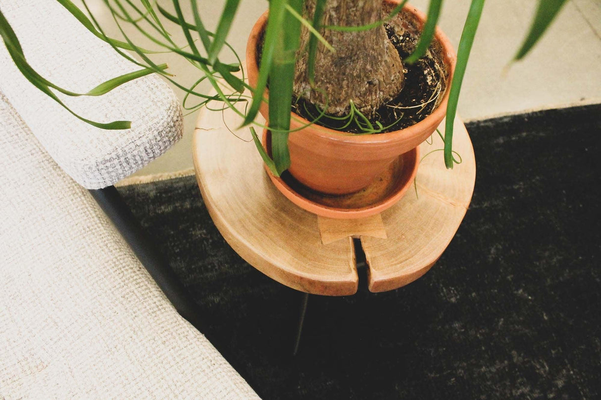 LH Home Organic Martini Tables (Set of 2)