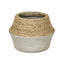 LH Home Nature Milk Jug Grass and Concrete Pot