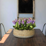 LH Home Nature Low Round Grass and Concrete Pot