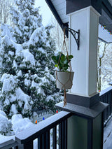 LH Home Craft Small Hanging Pot With Netting - Cement Grey