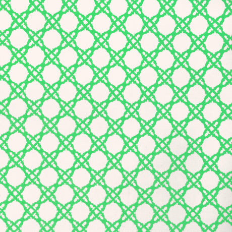 Lee Jofa COASTAL CANE GREEN Upholstery Fabric