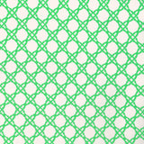 Lee Jofa COASTAL CANE GREEN Upholstery Fabric