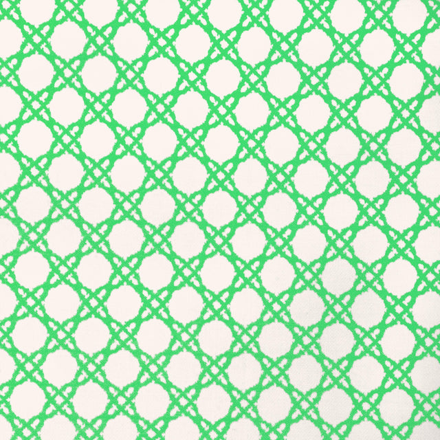 Lee Jofa COASTAL CANE GREEN Upholstery Fabric